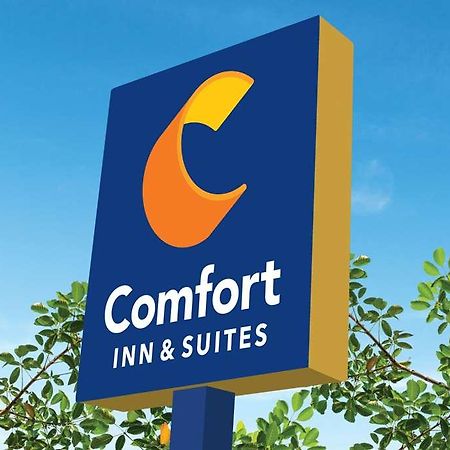 Comfort Inn & Suites Newark Liberty International Airport ภายนอก รูปภาพ